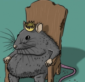 मुसाका चल्ला दरबार किन जान्छन् ?