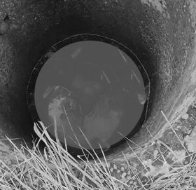 भारतको उत्तर प्रदेशको कुशीनगरमा इनारमा खसेर १३ जनाको ज्यान गयो