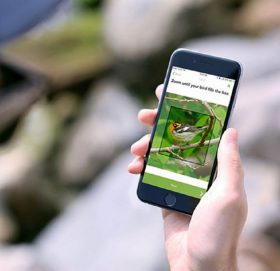 शनिवारदेखि एकैसाथ ‘छिमेकी चरा’ एपको माध्यमबाट चरा गणनाको कार्य सुरु हुने