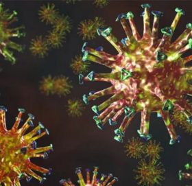 कोभिड १९ को सङ्क्रमण दर फेरि बढ्दै