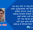 मासुका परिकारहरू धेरै छन्, कुन हो तपाईँको चुनाव ?