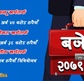 आगामी आर्थिक वर्षको बजेट १७ खर्ब ९३ अर्ब ८३ करोड रूपैयाँ