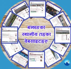 स्थानीय सरकारका अशोभनीय वेबसाइट : भाषामा अज्ञानता कि असावधानी ?