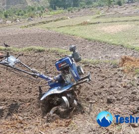 आधुनिक ट्याक्टरले गोरु विस्थापित