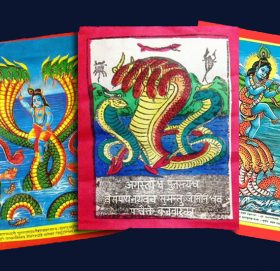 आज नाग पञ्चमी : ढोकामाथि नाग टाँस्दा सर्पको भय नहुने विश्वास