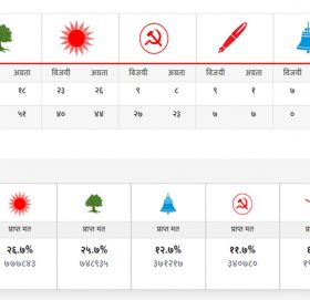 प्रतिनिधिसभा सदस्यका लागि कसले कति सिट जित्यो ? [सूचीसहित]