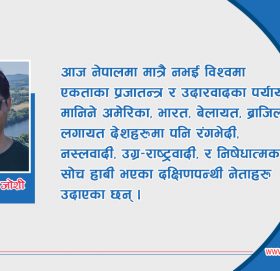 दिव्योपदेश अनि राष्ट्रिय एकता दिवसको लोकतान्त्रिक भाष्य !