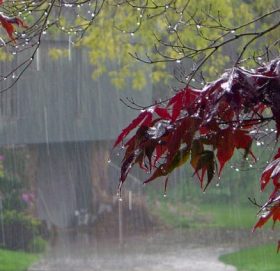 धेरै ठाउँमा हल्कादेखि मध्यम वर्षाको सम्भावना