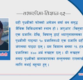 उसै माई कति पाध्नी तब खाया भट्ट !