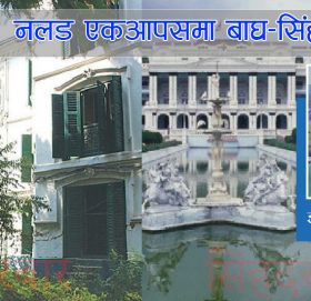 संग्राममा हुँदा सिंह र बाघ, मान्छेको नै हुन्छ भागम भाग