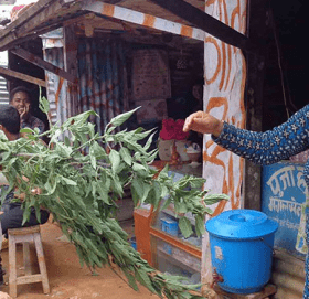 सुदूरपश्चिम प्रदेशमा आज बिसु पर्व