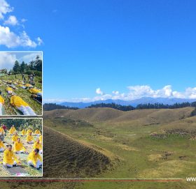 Khaptad : Now the center of spiritual tourism