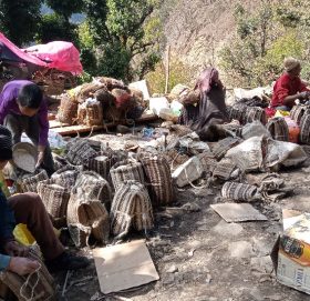 सिंहदरबार नधाएर पुग्दैन साइपालमा चामल