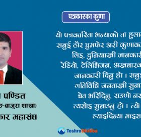 ‘पत्रकारिता भन्याको अरु नौकरी जसो होइन’