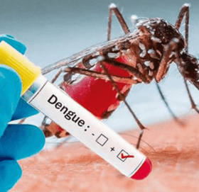 देशभर डेंगुबाट संक्रमित हुनेको संख्या १० हजार नाघ्यो
