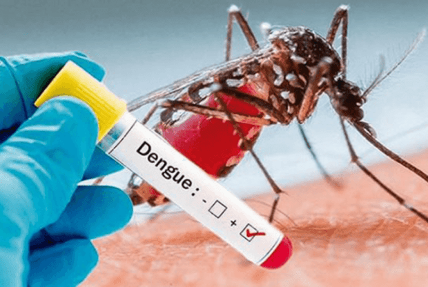 देशभर डेंगुबाट संक्रमित हुनेको संख्या १० हजार नाघ्यो