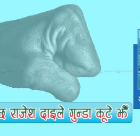 तस्करहरूले सुन लुटे झैँ