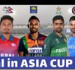 एसिया कप : नेपाली टोलीको उज्ज्वल भविष्यको ढोका