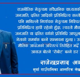 राजनीतिक नेतृत्व र प्रशासन