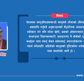 गाँजा वैधानिकताको बहस !