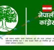 कांग्रेस भन्छ : स्थानीय तहमा चुनाव लडेकालाई प्रदेशमा उम्मेदवार बनाइदैन