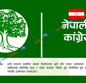 कांग्रेस भन्छ : स्थानीय तहमा चुनाव लडेकालाई प्रदेशमा उम्मेदवार बनाइदैन