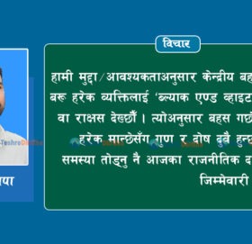 ‘भ्रष्टाचार नियन्त्रणबाटै विकास सम्भव छ’