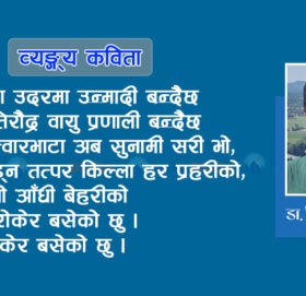 व्यङ्ग्य कविता : म पाद रोकेर बसेको छु