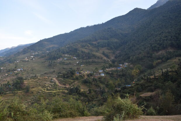 चितुवाबाट चौपाया जोगाउनै मुस्किल